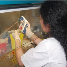 laboratorr11