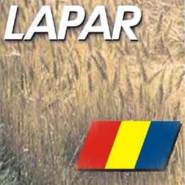 lapar