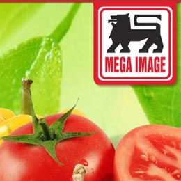 mega22