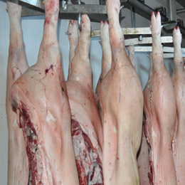rusia-carne11