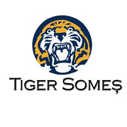 tigersomes