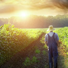 farmer