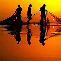 pescari