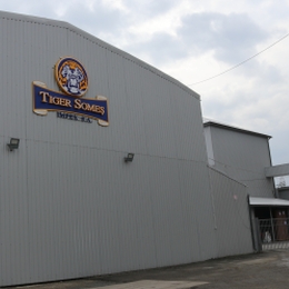 tiger somes brc