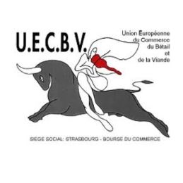 uecbv logo